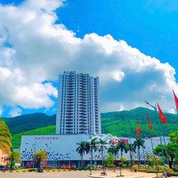 Bán Gấp Căn 2 Phòng Ngủgiá Rẻ Nhất Thị Trường The Calla Từ 1.7 Tỷ Chiết Khấu 6% - Cập Nhật 22.2.2025
