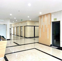 Chung Cư Star Tower An Phú, 61 M2 Sổ Hồng 1 Tỷ 50 Triệu (100% Tiền) Cách Sài Gòn 10 Phút Xe Máy