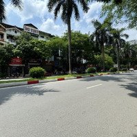 Nhà Mặt Phố Nguyễn Khuyến, Chủ Gửi Ngân Hàng 8 Tỷ Cần Bán Gấp