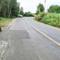 Bán Lô Đấtmặt Tiềnql19 C, Đức Bình Tây, Sông Hinh, Phú Yên - 1400M2 - Giá Chỉ 2Xxtr