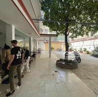 Cho Thuê Villa 2/5B Tản Viên, Phường 2, Quận Tân Bình