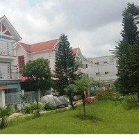 Chính Chủ Gửi Bán Căn Biệt Thự Khu Đt Đặng Xá, Gia Lâm Giá Tốt.