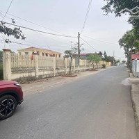 Bán Đất Chính Chủ Tại Lai Hạ - Lương Tài