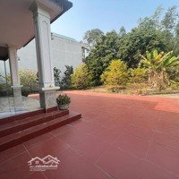 Bán Đất Tặng Nhà Tại Khu 5, Chu Hóa, Việt Trì, Phú Thọ, 4,5 Tỷ, 900M2. Liên Hệ: 0965074589