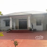 Bán Đất Tặng Nhà Tại Khu 5, Chu Hóa, Việt Trì, Phú Thọ, 4,5 Tỷ, 900M2. Liên Hệ: 0965074589