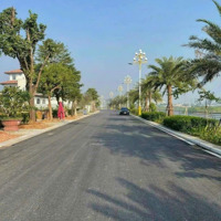Bán Lk 17 View Trường Newton Kđt Bắc Đầm Vạc, Đống Đa, Vĩnh Yên, Vĩnh Phúc, 5X Triệu/M2, 102M2