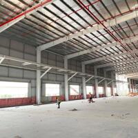 Cho Thuê Kho Xưởng 1000m² Tại Thọ Quang – Phù Hợp Chứa Hàng, Sản Xuất & Chế Biến Thực Phẩm