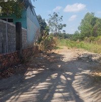 Bán Đất Tại Đường Trần Quang Quờn, Bình Khánh, Cần Giờ, Hồ Chí Minh, Giá Siêu Hời 1,6 Tỷ,Diện Tích130M2
