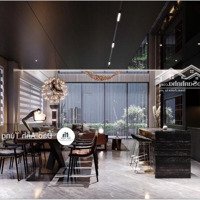 Phân Lô Hàng Không - Gara - Thang Máy Nhập Khẩu - Kinh Doanh - Full Nội Thấtcao Cấp