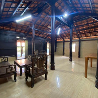 Bán Biệt Thự Gổ Cổ Hơn Trăm Đẹp Tại Đường 11, Xã Hòa Long, Bà Rịa, Bà Rịa Vũng Tàu, 11,8 Tỷ, 720 M2