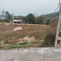 Đất View Hồ Ngay Khu Sinh Thái Hồ Phượng Mao Thanh Thuỷ, Thanh Sơn Phú Thọ