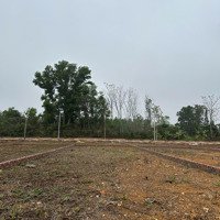 Bán Đất 78M2 Tại Sơn Đông, Sơn Tây, Hà Nội, Giá 1,98 Nghìn Hàng Hot. Gần Sát Sân Golf Đồng Mô