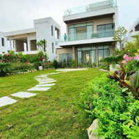 600 M2 Chỉ Hơn 10 Tỷ, Căn Đang Vận Hành Lên Tới 40 Tr/ Tháng Tại Ivory Villas Hòa Bình