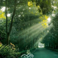 Eco Retreat Lá Phổi Xanh Khổng Lồ Miền Tây Nam Bộ. Lh Booking Ngay 0903 880 293 Oanh