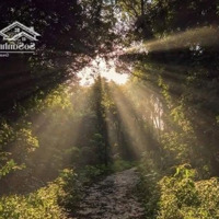 Long An Thiên Đường Sống Xanh Tiêu Chuẩn Blue Zones. Liên Hệ: 039 4000 103 Oanh