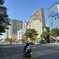 Duy Nhất Lô Đất Mặt Tiền Đường Trương Văn Bang Khu Huy Hoàng Xây Cao Hầm +7 Tầng, 240M2, Giá Bán 84 Tỷ