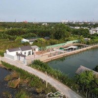 Bán Nhà Vườn 1184M2 Giá Bán 10 Triệu/M2, Đường Bê Tông 5M, Hẻm 1697 Lê Văn Lương, Nhà Bè
