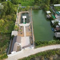 Bán Nhà Vườn 1184M2 Giá Bán 10 Triệu/M2, Đường Bê Tông 5M, Hẻm 1697 Lê Văn Lương, Nhà Bè