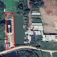Bán Nhà Vườn 1184M2 Giá Bán 10 Triệu/M2, Đường Bê Tông 5M, Hẻm 1697 Lê Văn Lương, Nhà Bè