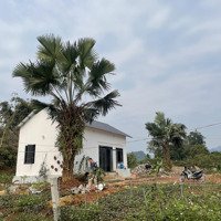 Chính Chủ Bán Khu Nghỉ Dưỡng Gia Đình, Gần Kdl Ngoi Hoa 6000M2 Sổ Đỏ, Chỉ Có Nhỉnh 2 Tỷ
