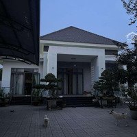 Cần Bán Biệt Thự Mái Nhật Mặt Tiền Đường Dx 037, Phú Mỹ
