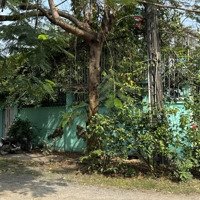 Bán Đất Tặng Nhà Biệt Thự 2 Mặt Tiền Khu Đảo Kim Cương, Giá Rẻ Nhất Khu Vực