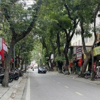 Bán Nhà Mặt Phố Phan Kế Bính, 63 Tỷ, 183M2, View Đẹp, Ba Đình, Hà Nội