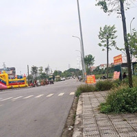 Lô Đất Giá Bèo Nhất Khu Đô Thị Bảo Long, Cửa Đầu Tư Cực Sángdiện Tích100M2 Đường Container Đánh Võng