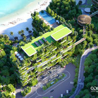 Bán Condotel Tại Flamingo Cat Ba Beach Resort, 43 Triệu Vnd/M2, 34 M2, Chính Chủ, Uy Tín