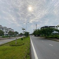 Bán Nhà Phố Xây Thô 3 Tầng Shophouse Khu Biệt Thự Times Garden - Đường Đinh Tiên Hoàng, Tp Vy