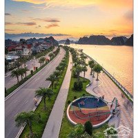 Cần Bán 03 Căn Vip Mặt Biển Góc Tại Vinhomes Hạ Long Chỉ Từ 16 Tỷ