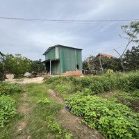 Bán Đất Chợ Hoà Ninh, Chính Chủ