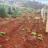 Chính Chủ Bán Gấp Lô Đất Xã Đạ Ròn, Đơn Dương, Lâm Đồng Đất Đẹp Giá Chỉ 749 Tr