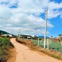 Chính Chủ Bán Gấp Lô Đất Xã Đạ Ròn, Đơn Dương, Lâm Đồng Đất Đẹp Giá Chỉ 749 Tr