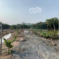 Bán Lô Đất Thổ Phân Lô Mặt Tiền Đê Bao Hạ Giá Bán 7 Tỷ