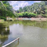 Bán Lô Đất Thổ Vườn Có Nhà Hạ Giá Bán 6 Tỷ