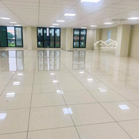 Cho Thuê Tòa Nhà Số 36 Trường Sơn Quận Tân Bình, Dt: 15 X 26M, Hầm, 10 Tầng, Giá Thuê: 1 Tỷ/Tháng