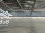 Kho Xưởng Kcn Khai Quang - Vĩnh Yên, 2000M2 Đến 32.000M2, Pccc Tự Động, Epe/Fdi, 65 Nghìn/M2/Th