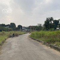 Bán Đất Tại Đường 6, Thị Trấn Lương Sơn, Lương Sơn, Hòa Bình, 21 Triệu Vnd/M2, 74 M2