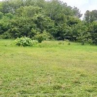 Bán Đất Đẹp 3501,8M2 Quy Hoạch Đất Ở, Có Sẵn 200M2 Thổ Cư, Đường Ô Tô Long Đức,Long Thành,Đồng Nai