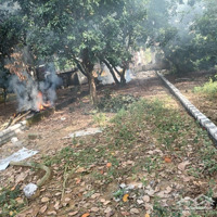 Bán Đất Xã Sơn Đông, Sơn Tây. Diện Tích 171,3 M2. Mặt Tiền 5M. Ngõ Rộng 5M. Ô Tô Vào Đất