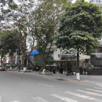 Cho Thuê Nhà Mặt Phố Nguyễn Ngọc Vũ 170M2 X 3 Tầng, Mặt Tiền 9M, Thông Sàn, Thang Máy