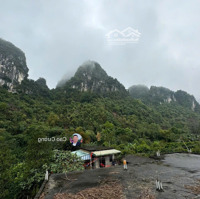 Cần Chuyển Nhượng 1112M 800M Đất Ont Tại Lương Sơn Giá Siêu Rẻ
