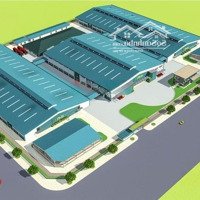 Bán Đất Tmdv Tại Ql 10, An Dương, Hải Phòng