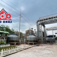 Cho Thuê Xưởng Trong Kcn Nhơn Trạch Có Dệt Nhuộm Xi Mạ Giá Tốt Hàng Hiếm 1 Cây Duy Nhất