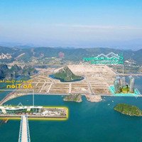 Bán Căn Studio Full Nội Thất, View Trực Diện Vịnh, Giá Bán 1,8 Tỷ