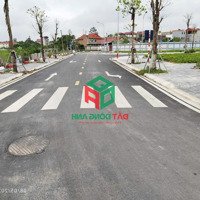 Bán Đất Đấu Giá X8 Hà Phong Liên Hà Đông Anh - 90M2 - Hạ Tầng Siêu Đẹp