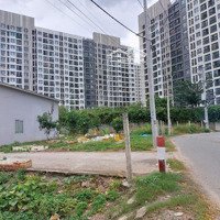 Bán Đất Gần Khu Picity High Park, 5 Tỷ 89M2, Hẻm 9M Có Lề, Pháp Lý Chuẩn, Tương Lai Có 5 Trường Học