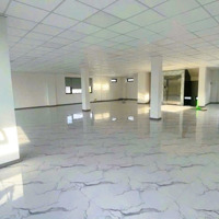 Cho Thuê Tòa Nhà Mặt Tiền 82 Nguyễn Thị Thập Quận 7, Dt: 15X20M, 5 Tầng, Thang Máy, Giá: 370 Triệu