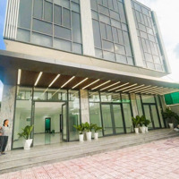 Cho Thuê Tòa Nhà Mặt Tiền 82 Nguyễn Thị Thập Quận 7, Dt: 15X20M, 5 Tầng, Thang Máy, Giá: 370 Triệu
